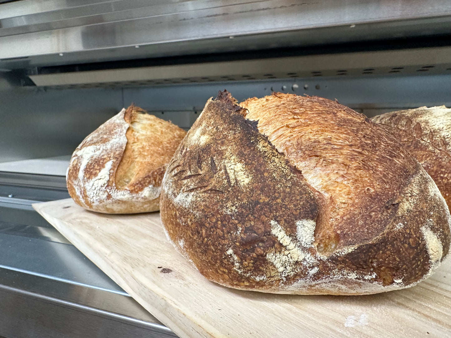 Classic Italian Sourdough White Bread