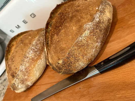 Sourdough Bread , direct processing dough